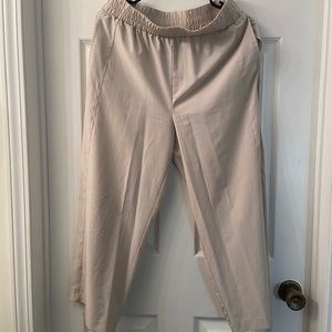 Beige Wide Leg Dress Pants